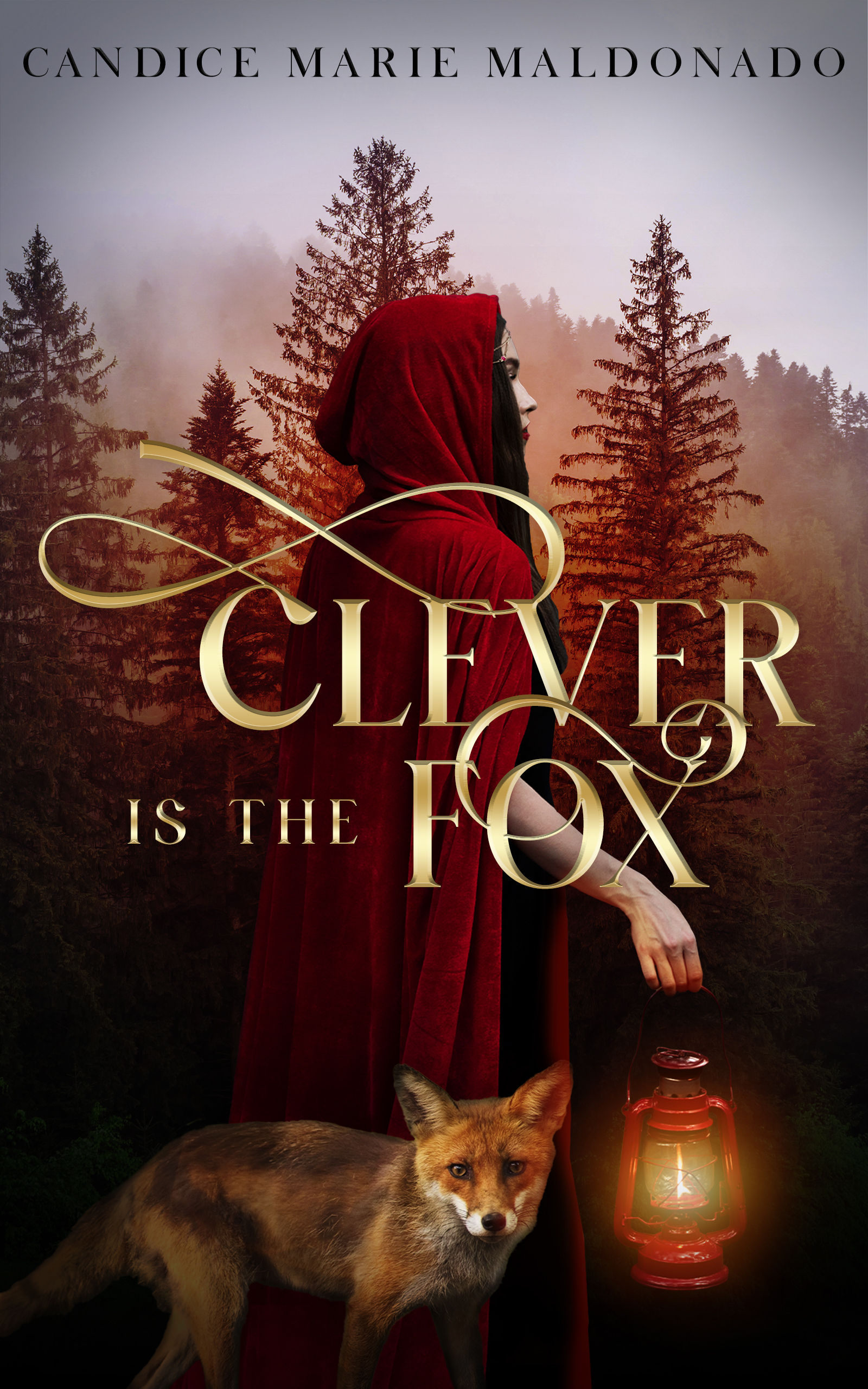 Fox and lantern cloak girl book cover.